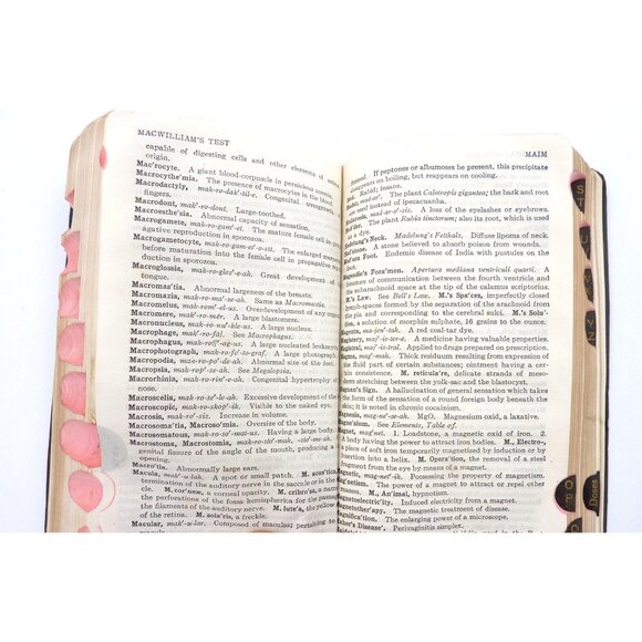 Goulds Pocket Pronouncing Medical Dictionary 40000 Words Eighth Rev. Ed. 1922 - Picture 8 of 9
